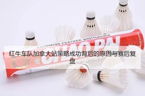 红牛车队加拿大站策略成功背后的原因与赛后复盘